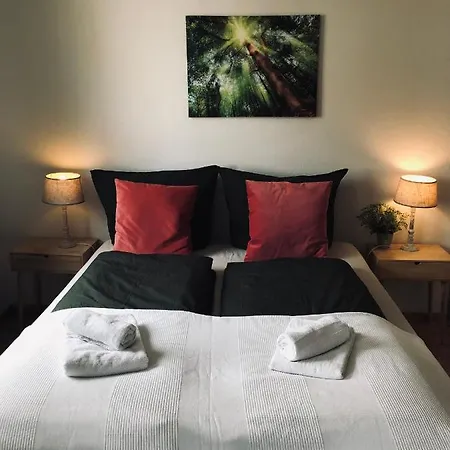 Rum i privatbostad Mida Gaestehaus Freiburg im Breisgau