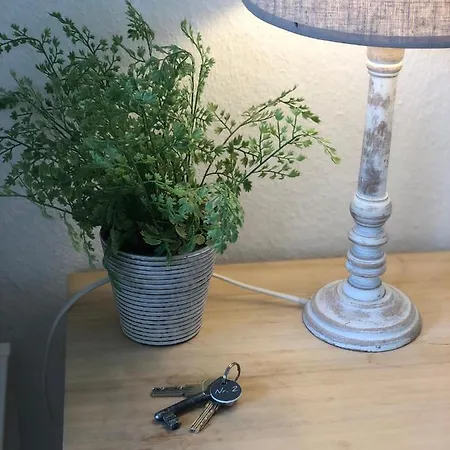 Mida Gaestehaus Freiburg im Breisgau